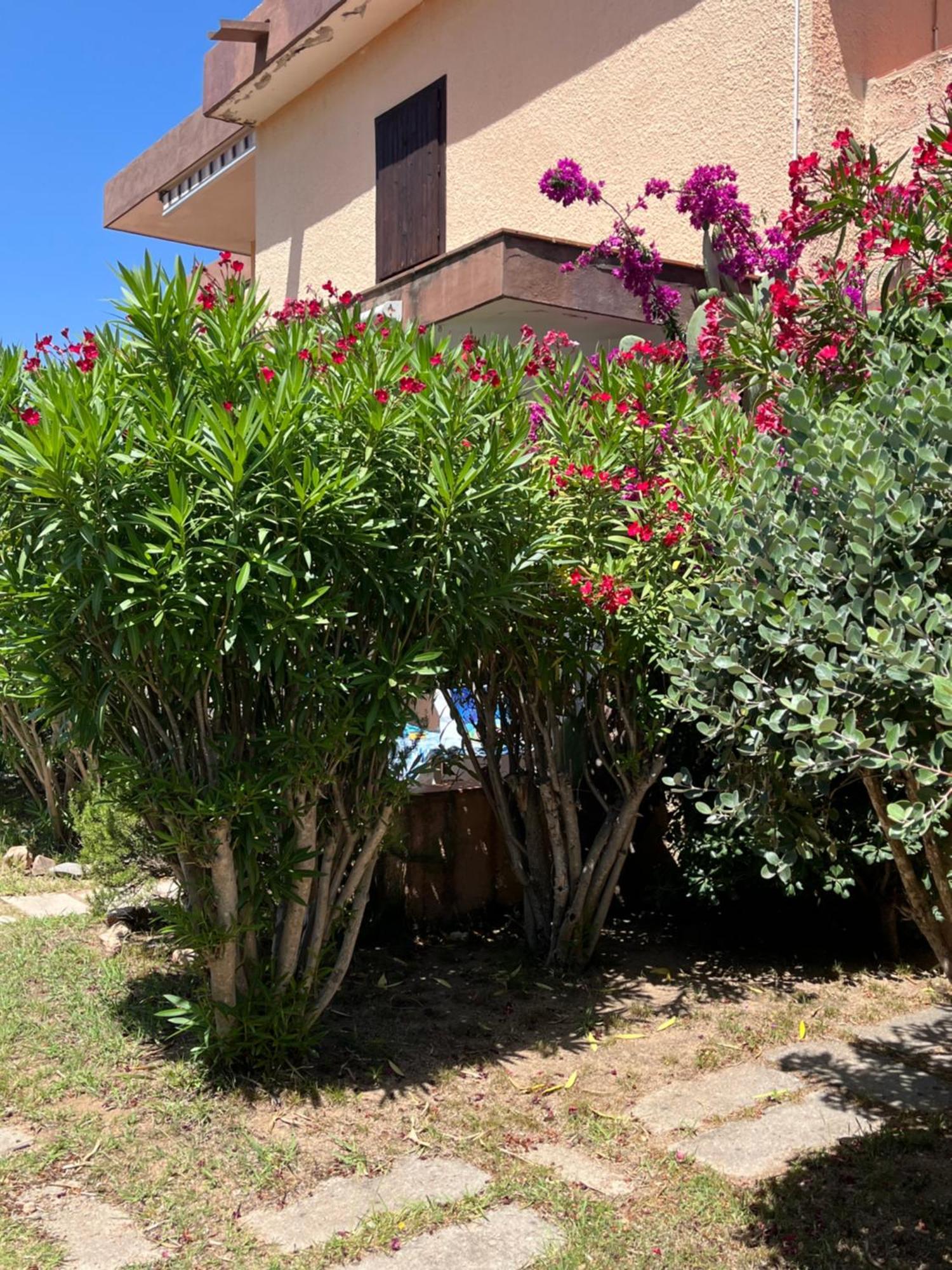 Bilocali Residenza Mediterranea Cannigione Exterior foto